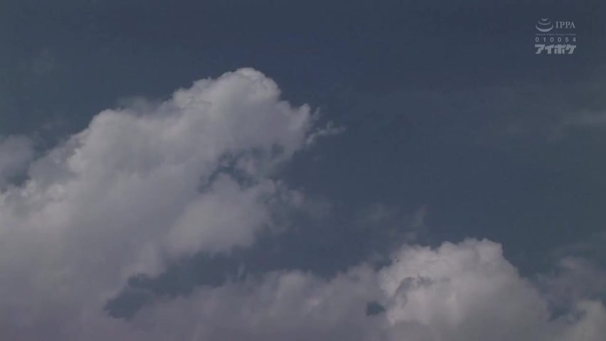 优月心菜_(1)